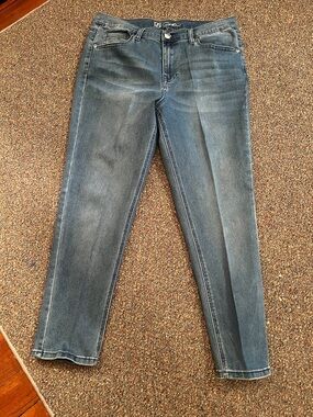 DG2 by Diane Gilman Midwash Blue Straight Leg Jeans